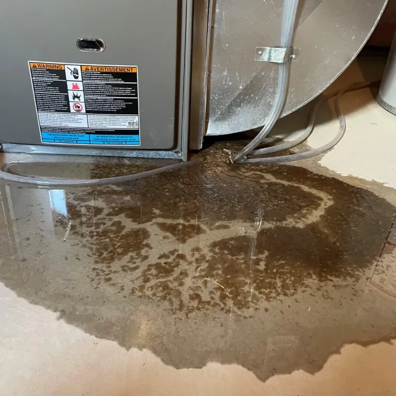 Appliance Leak Cleanup in Randolph, MA